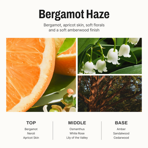 Bergamot Haze Diffuser