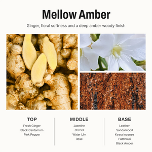 Mellow Amber Diffuser
