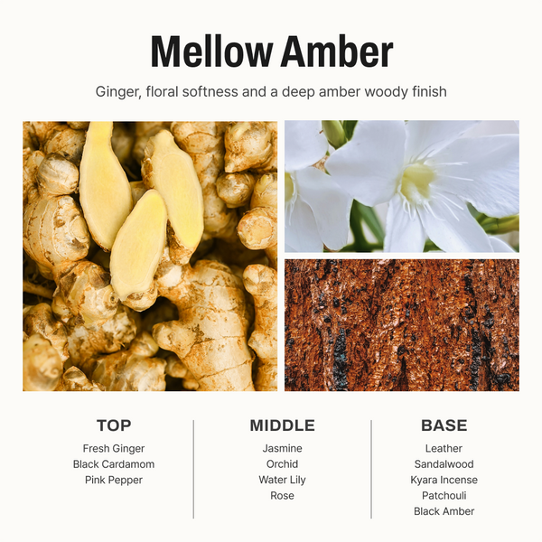 Mellow Amber Diffuser