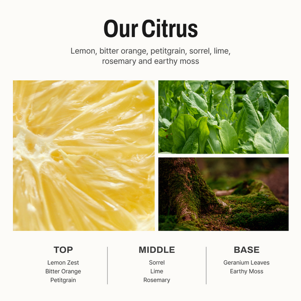 Our Citrus Fabric + Room Spray & Diffuser